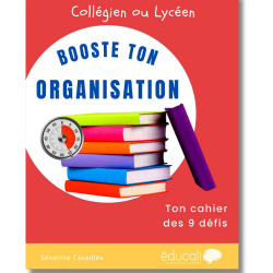 Cahier défis Booste ton organisation